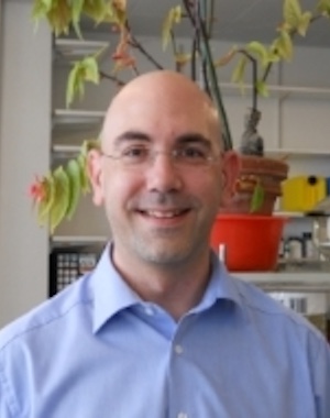 Dr. Simon Langenegger