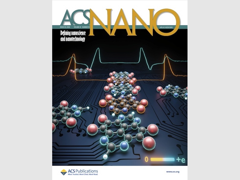ACSNano_2025_Cover